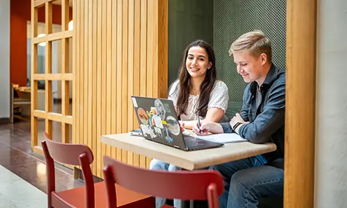 Studenter som pluggar tillsammans.