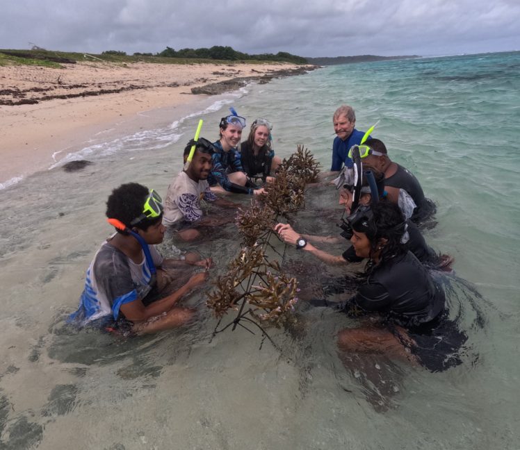 A group of people wearing diving goggles and snorkels in shallow water on a beach