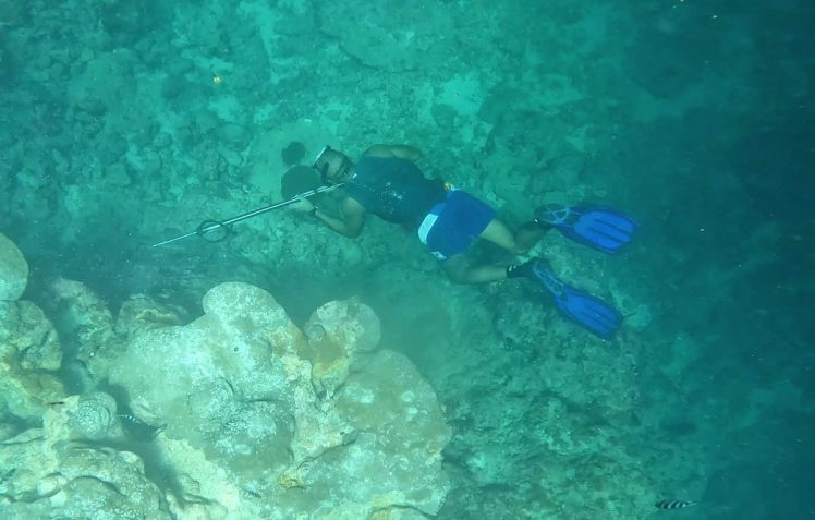 A man in clear water wearing diving fins, holding a pole spear