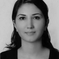Profile picture of Sara Sardari Sayyar