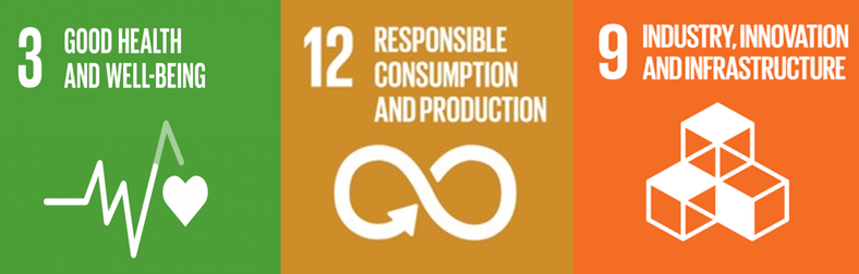 UN sustainability goals