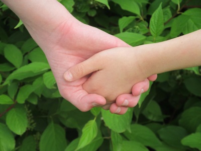 Holding hands, grown hand and child hand, green leaves in background