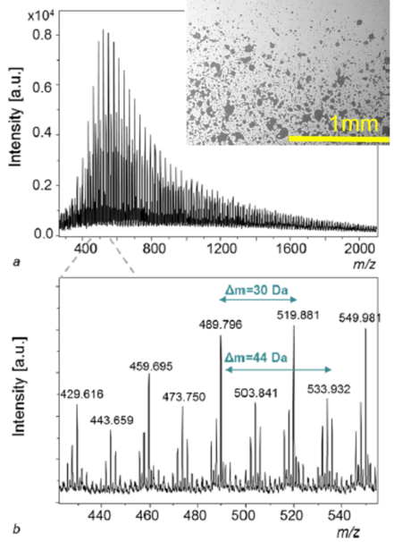 Mass spectrum of arc-induced ablation products of POM