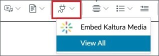 App-knappen med rullgardinsmeny öppnad. Visar Embed Kaltura Media och View All.