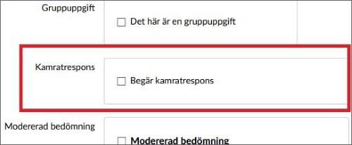 Uppgiftsalternativ med alternativet "Kamratrespons" markerat.