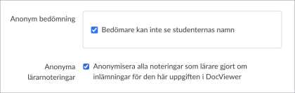 Skärmdump inställningar inlämningsuppgift. Rekommendationerna för textinlämning är inställt.