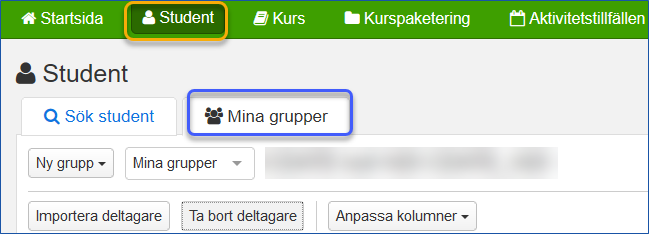 Fliken Mina grupper under Student