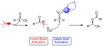 lewis acid - lewis base