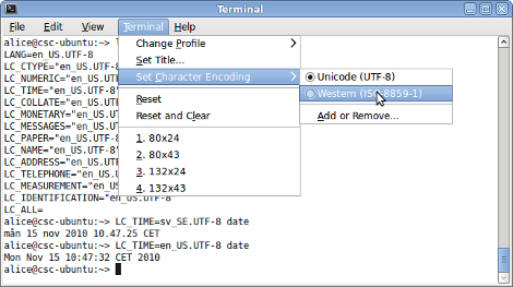 Ubuntu terminal