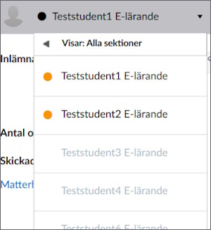 Rullgardinslista av studenter i SpeedGrader. Två har en orange cirkel vid sitt namn.