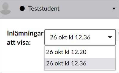 Sidofältet i SpeedGrader med en rullgardinslista över två olika inlämningar.