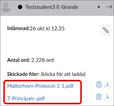 Sidolisten i SpeedGrader med två filer under "Skickade filer", inringade.