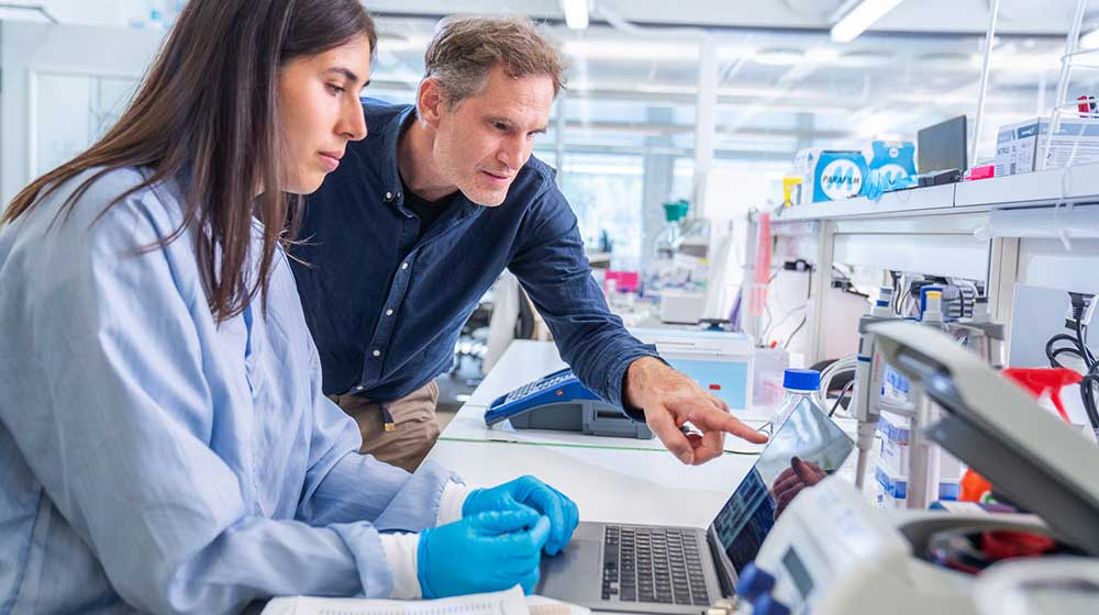 Anders Andersson, professor, and Karin Garefelt, PhD student, studying microscopy images.