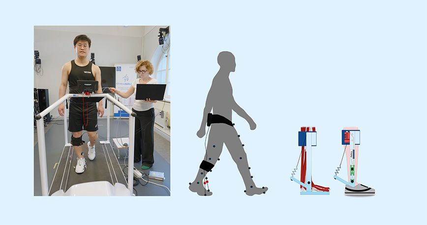 Collage of photo and illustrations showing movement research and assistive devices
