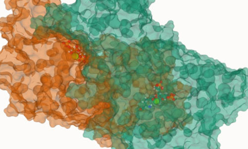 The Rubisco enzyme.