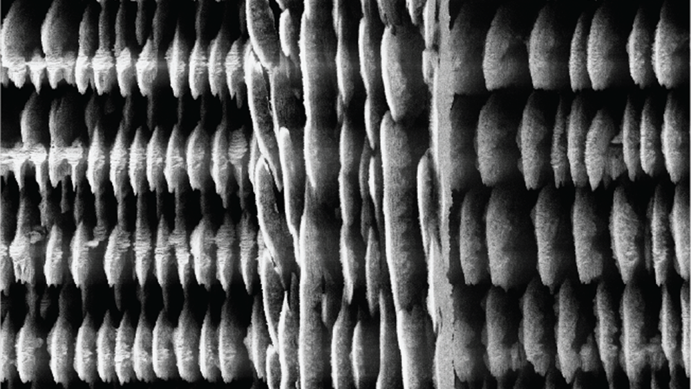 Microscopic image of form created with 3D printer