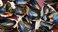 Several blue mussels on display