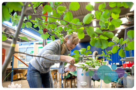 A woman working with laboratory equipment under a branch with green leaves