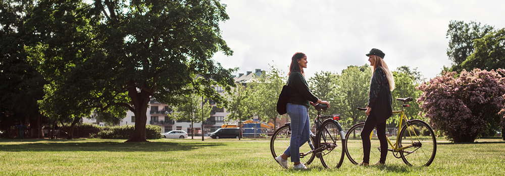 Students with bicycles talking